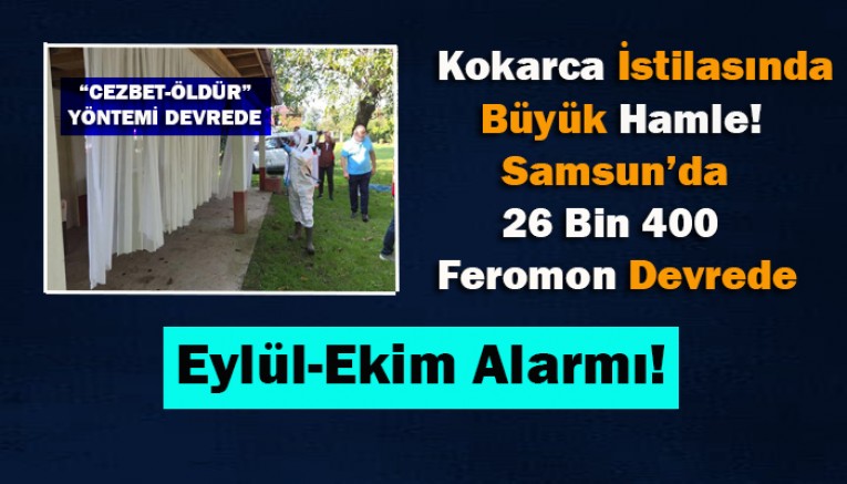 Kokarca İstilasında Büyük Hamle!