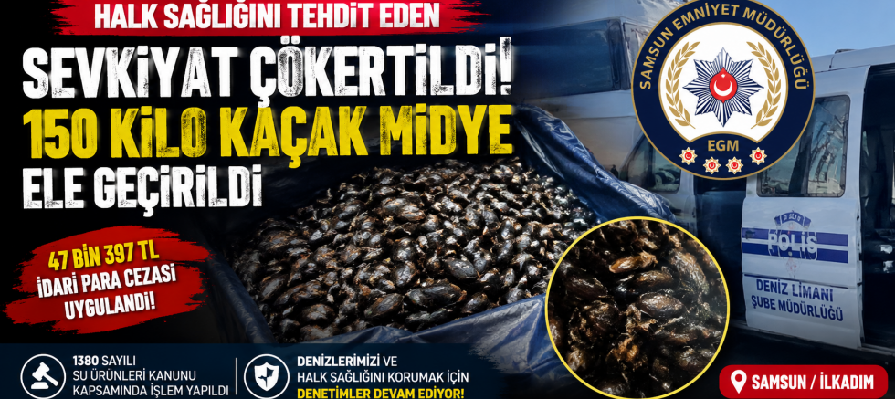 Sofralara Girmeden Yakalandı! Samsun'da 150 Kiloluk Kaçak Midye Alarmı