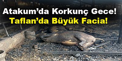 Atakum’da Korkunç Gece!