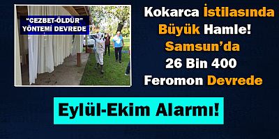 Kokarca İstilasında Büyük Hamle!