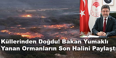 Yanan Ormanlar Yeniden Hayat Buldu! Bakan Yumaklı Muğla'daki Büyük Değişimi Paylaştı